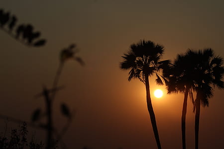 sunset thumbnail
