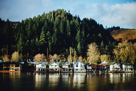 Houses near water thumbnail