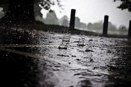 rain, raindrops, seasons, water, macro, element thumbnail