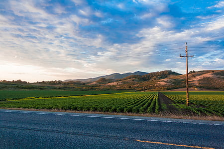 photo of farm during daytime thumbnail