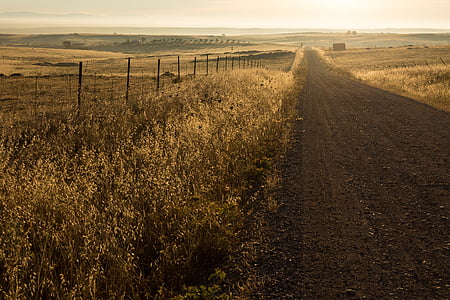 black sand road between brown grass field at daytime thumbnail