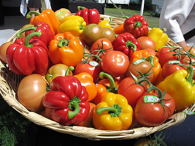 basket of ripe tomatoes thumbnail