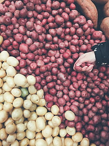 person holding potatoes thumbnail