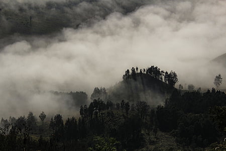 trees and clouds thumbnail