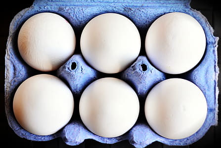 six white eggs on purple tray thumbnail