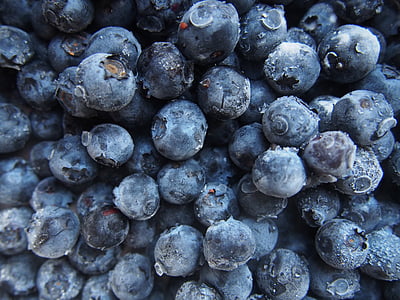 cluster of blueberries thumbnail