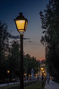 group of people walking near light posts and green leafed trees during nighttime thumbnail