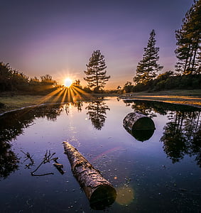 photo of logs floating on body of water thumbnail