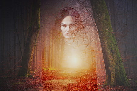 silhouette of woman in forest thumbnail