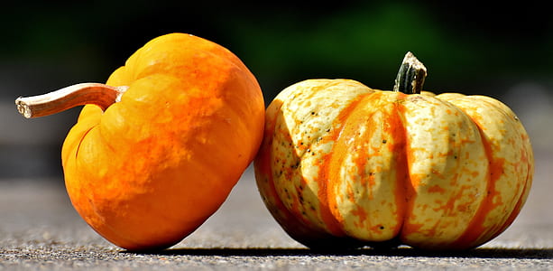 two orange pumpkins on gray concrete raod during daytime thumbnail