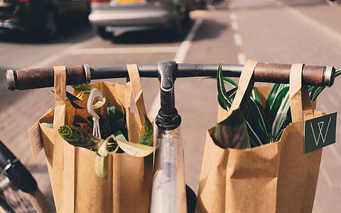 two brown paper bags hanging on bicycle handlebar thumbnail