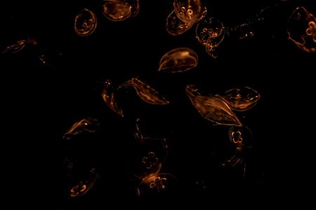 red, water, dark, motion thumbnail