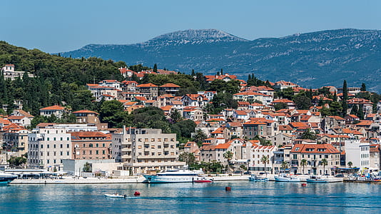 City Beside Body of Water during Daytime thumbnail