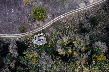aerial view of house near road surround trees thumbnail