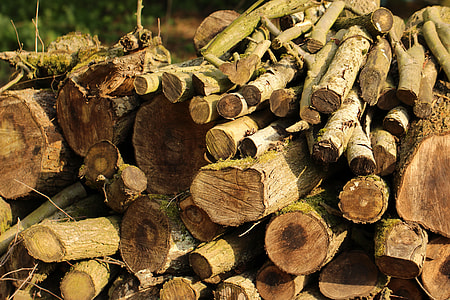 file of brown fire woods thumbnail