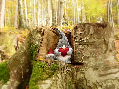 red and gray gnome costume o branch thumbnail
