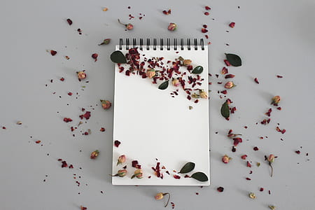 flat-lay photography of leaves on white notebook thumbnail
