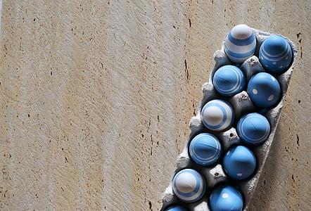 blue eggs on tray thumbnail
