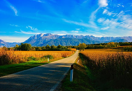 pavement towards mountain thumbnail
