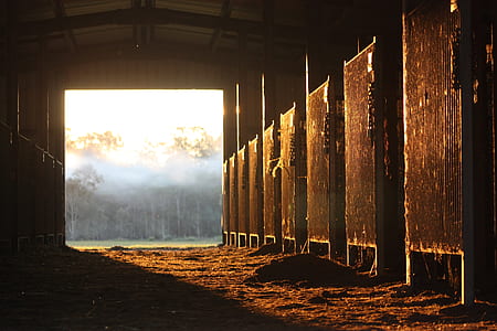 horse stable with sunlight thumbnail