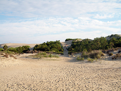 Jockey's Ridge sand and landscape in North Carolina thumbnail