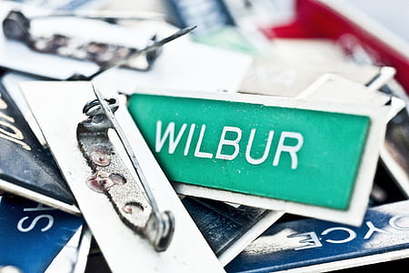 Wilbur pin badge thumbnail
