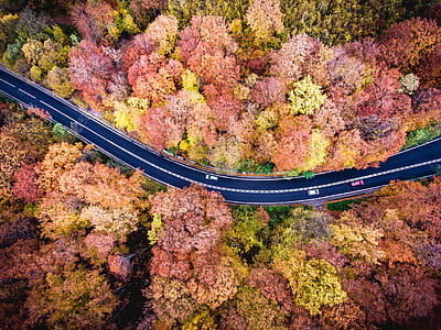 aerial photography of blue asphalt road thumbnail
