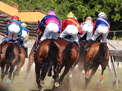 people doing horse racing thumbnail