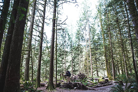 Nature Photographer Photo thumbnail