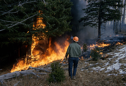 man standing near forest fire during daytime thumbnail