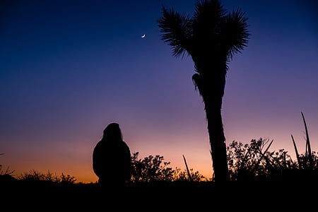 silhouette woman beside palm tree thumbnail