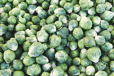 Brussel Sprouts Pile Photo thumbnail