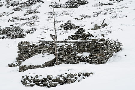 snow-covered field during daytime thumbnail