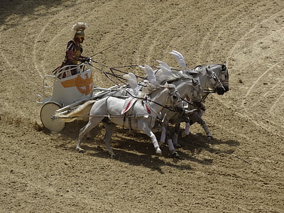 man wearing galea helmet riding chariot thumbnail
