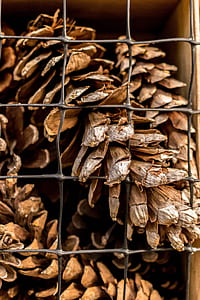 wood, nature, dry, industry thumbnail