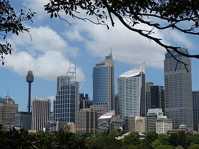 person showing skyscrapers thumbnail