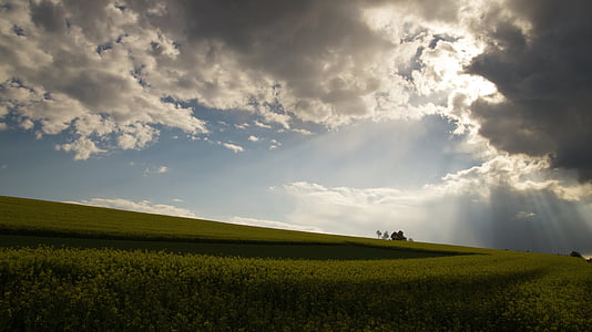 green grass under blue cloudy skies thumbnail