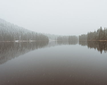 photo of calm body of water between trees covered with fog thumbnail