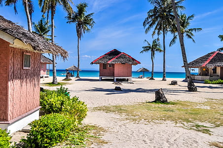 brown nipa house surrounded by palm trees thumbnail