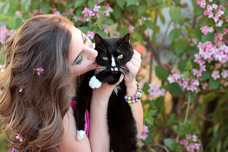 woman kissing short-furred black cat thumbnail