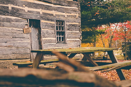 green wooden picnic table near wooden house thumbnail