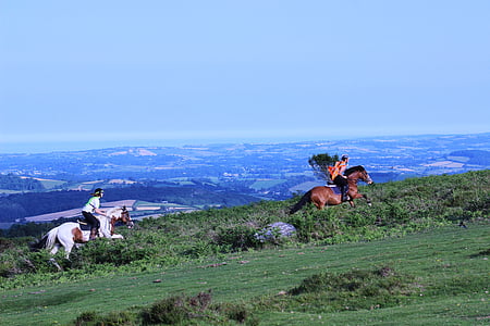 two men riding horse thumbnail