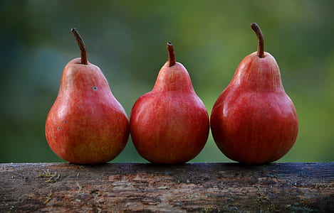 three oval red fruits thumbnail
