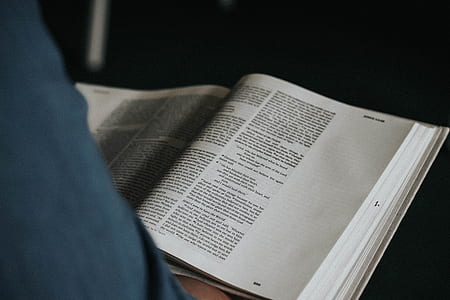 person reading book thumbnail