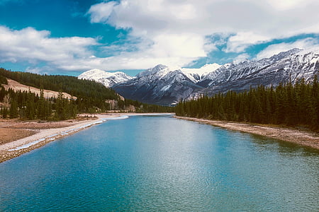 forest beside body of water thumbnail