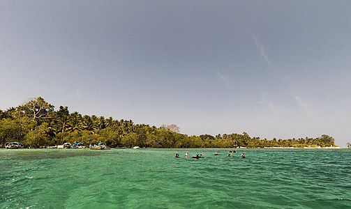 body of water and trees thumbnail