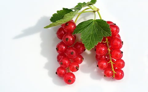 red cherries on white surface thumbnail