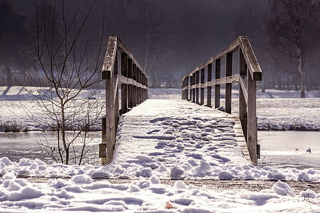 brown wooden bridge thumbnail