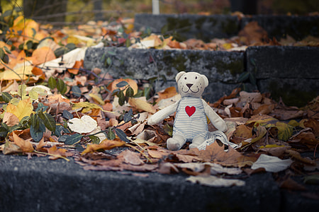 white bear plush toy on stairs thumbnail