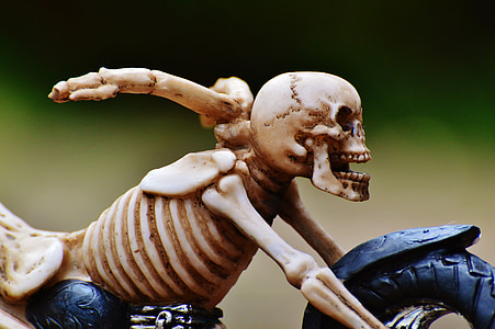 skeleton illustration thumbnail
